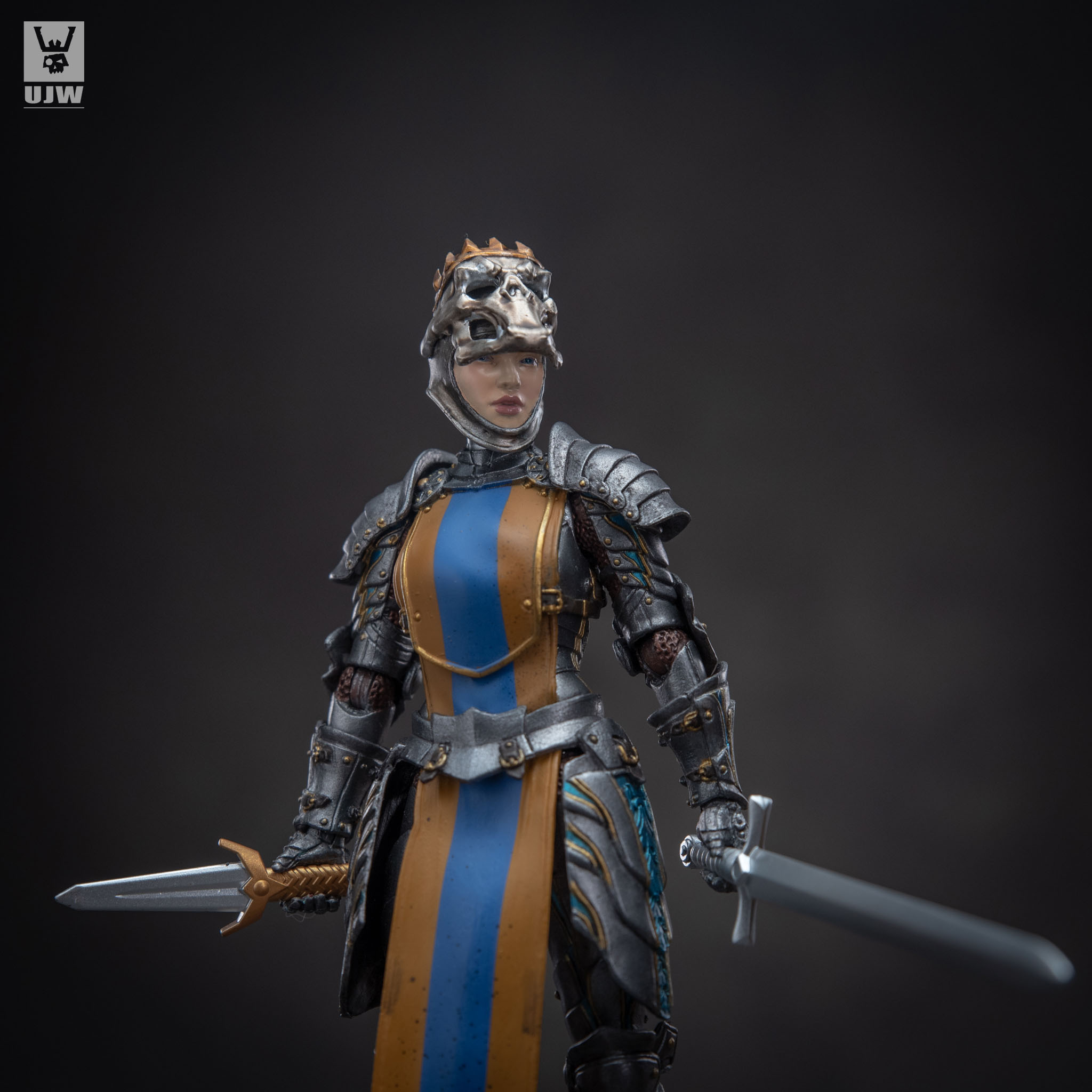 fw125:the female knight head b fw125:the female knight head b