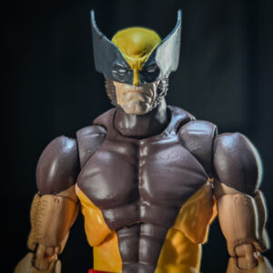 fw169:the head of wolverine