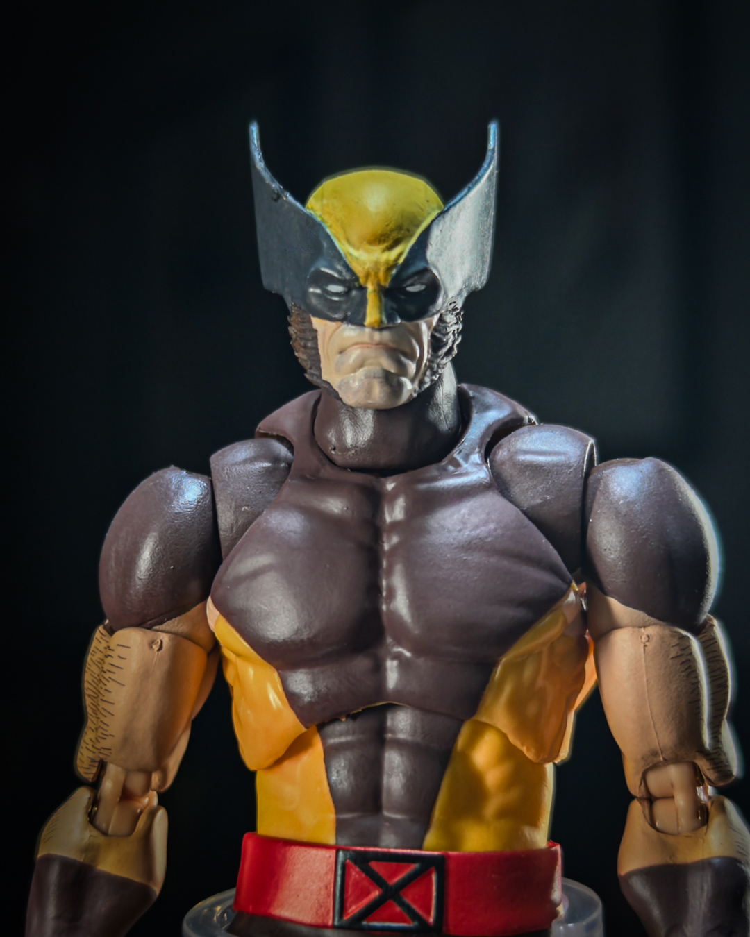 fw169:the head of wolverine fw169:the head of wolverine