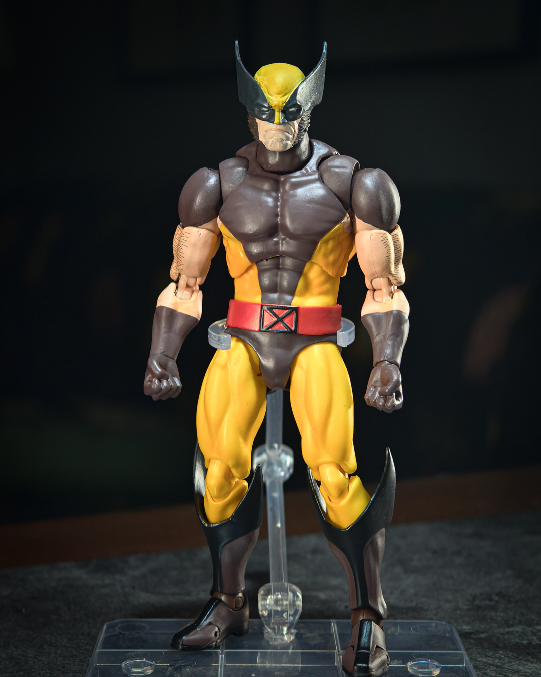 fw169:the head of wolverine fw169:the head of wolverine